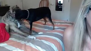 backwoodsbeaver intimate record on 2115 1423 from chaturbate